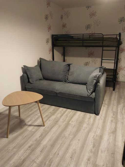 Studio Le Beaufort, Wifi, Fibre Lejlighed La Châtre Eksteriør billede